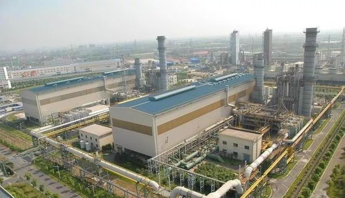 今天，上海連燈光都可溯源 綠色燃氣發電機組點亮智慧都市